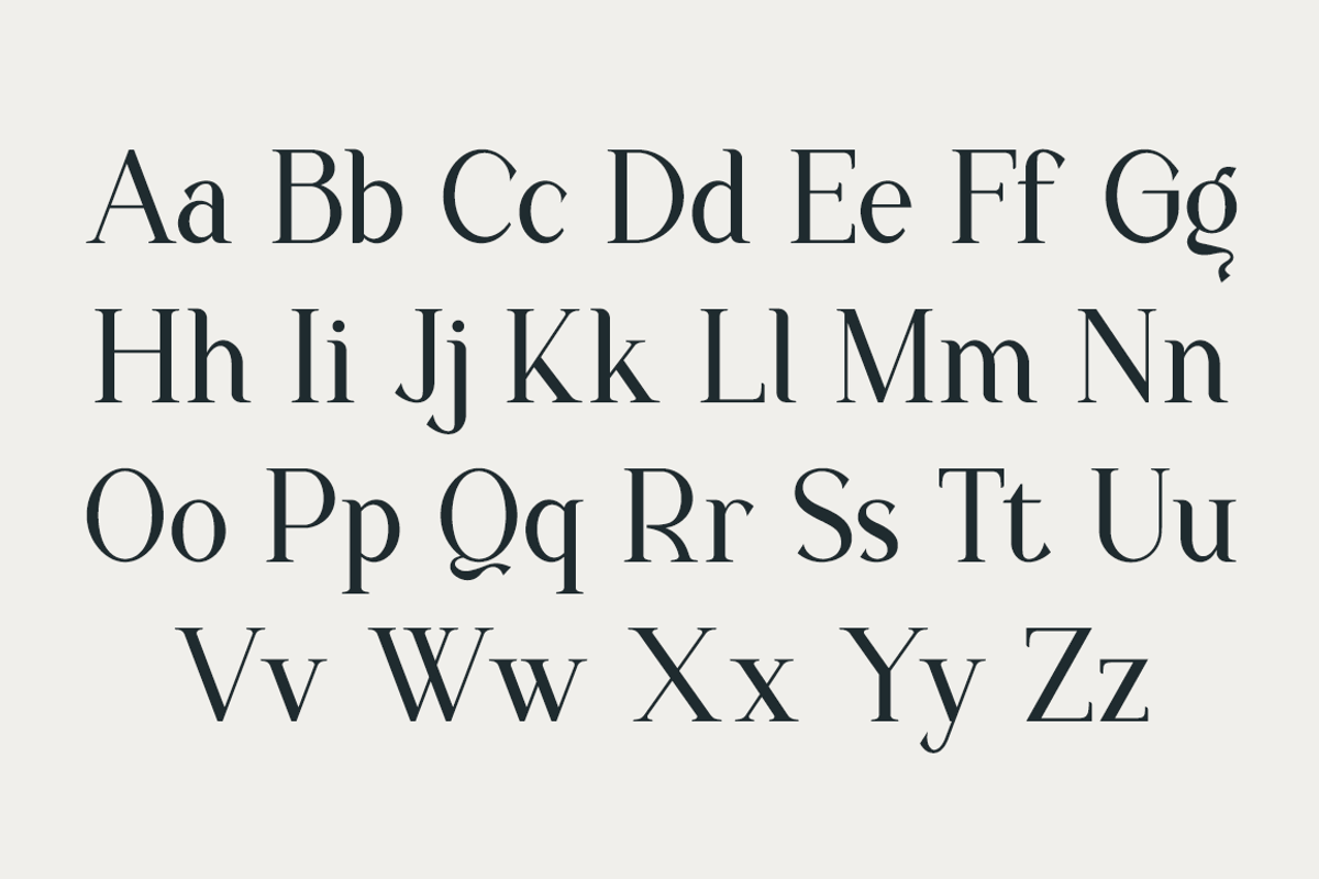 The New Seasone, a Serif Font by RockboyStd (Photo 9 of 12)