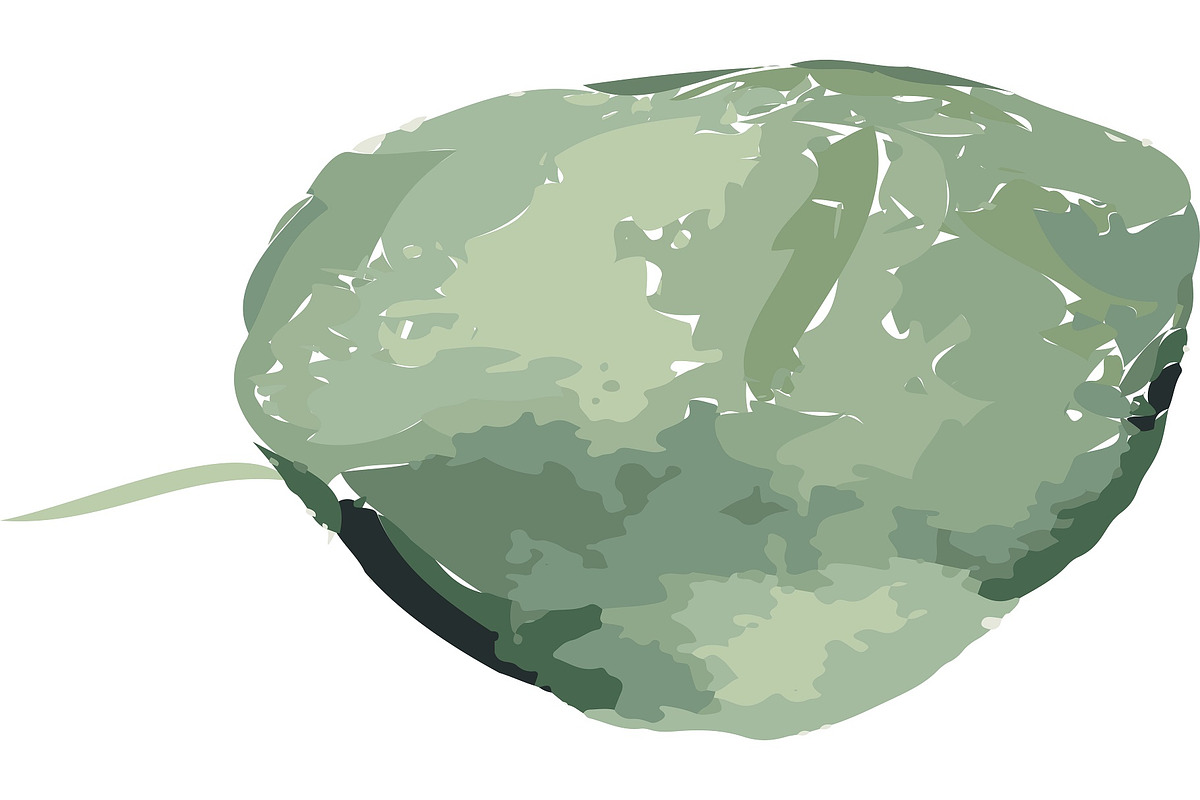 Watercolor Eucalyptus PNG Bunlde, an Illustration by Digi_Design_World (Photo 3 of 4)