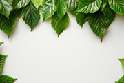 99 Frames of green leaves, a Nature Photo by Handmadefont (Thumbnail 54 of 100)