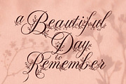 FLORAL DECORATIVE FONT COLLECTION, a Script Font by HypeWorksCo (Thumbnail 4 of 18)