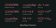 Blizka, a Serif Font by YXType (Thumbnail 12 of 13)