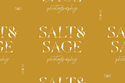 Godwit Font Family with Extras, a Serif Font by Yasir Ekinci (Thumbnail 12 of 25)