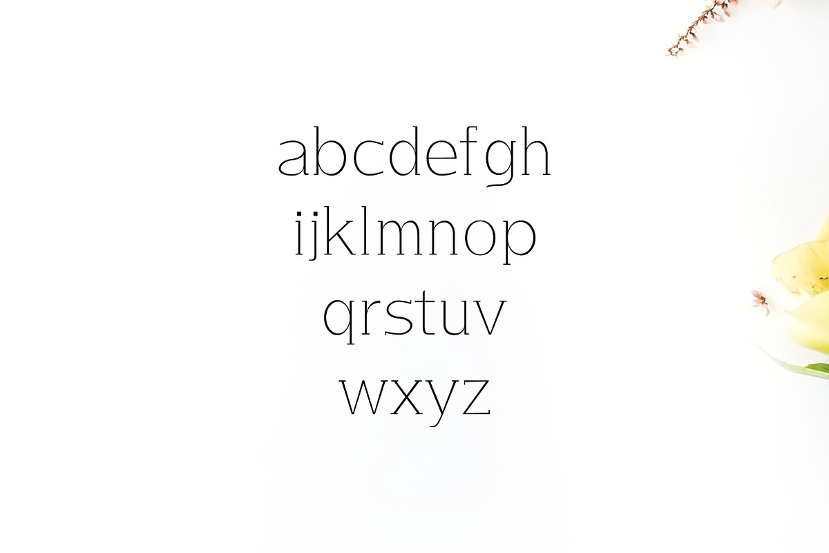 Lisandro Slab Serif Font preview 3