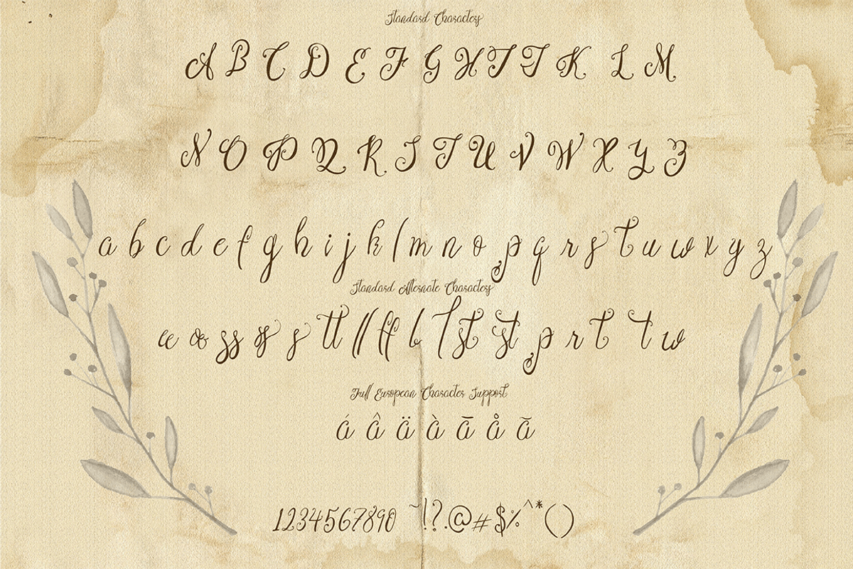 Wild Daffodils Script preview 4