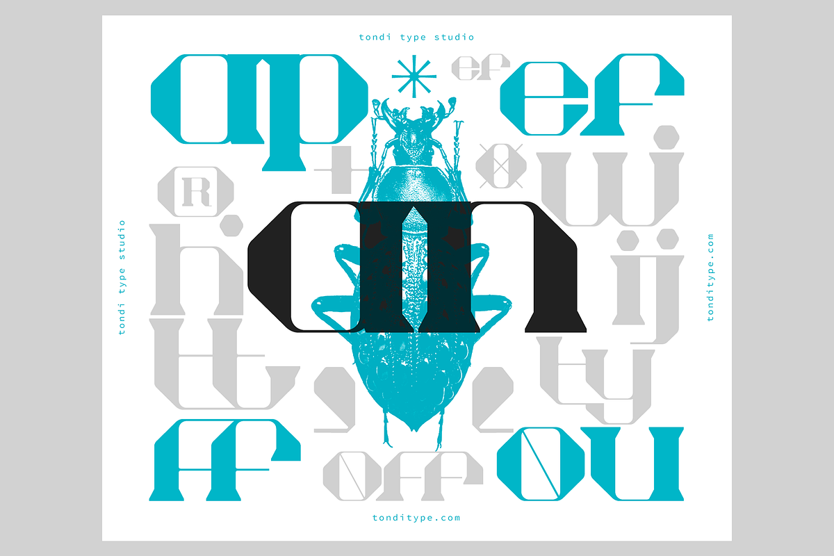 Akadis Display Font, a Serif Font by Tondi Type Studio (Photo 17 of 18)