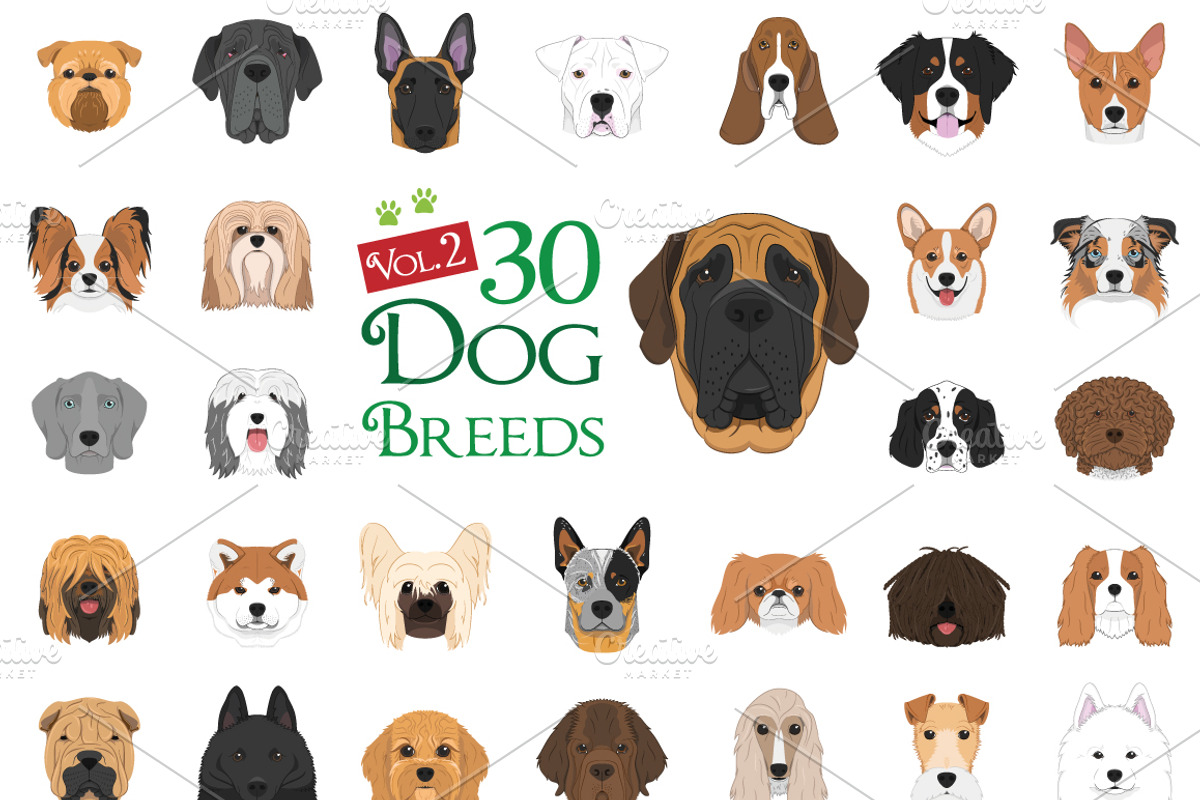 30x Dog breeds Set 2, an Animal Illustration by asantosg (Photo 1 of 7)
