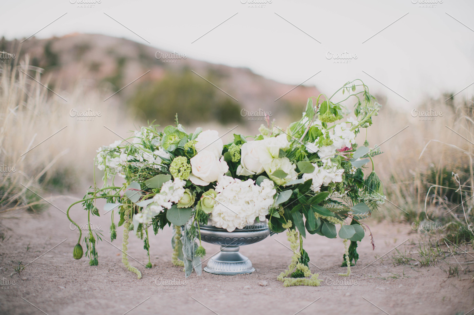 floral, a Photo by The Homestead Collective 