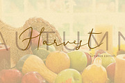 Ametrine, casual font, a Script Font by Art pages (Thumbnail 13 of 16)