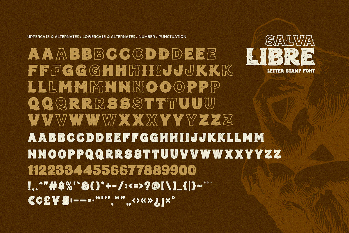 Salva Libre - Letter Stamp Font, a Serif Font by ikiiko (Photo 6 of 7)