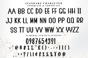 Cinematic, a Script Font by InermediaSTUDIO (Thumbnail 5 of 7)
