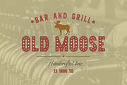 Fort Yukon, a Serif Font by Larin Type Co. (Thumbnail 8 of 10)