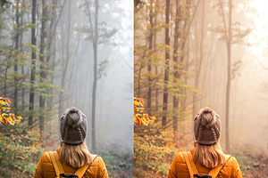 The Autumn Lightroom Presets