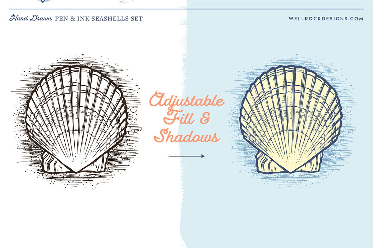 Sea Shells(Vector) + Beach Bonus, an Object Illustration by Well Rock Designs (Photo 2 of 9)
