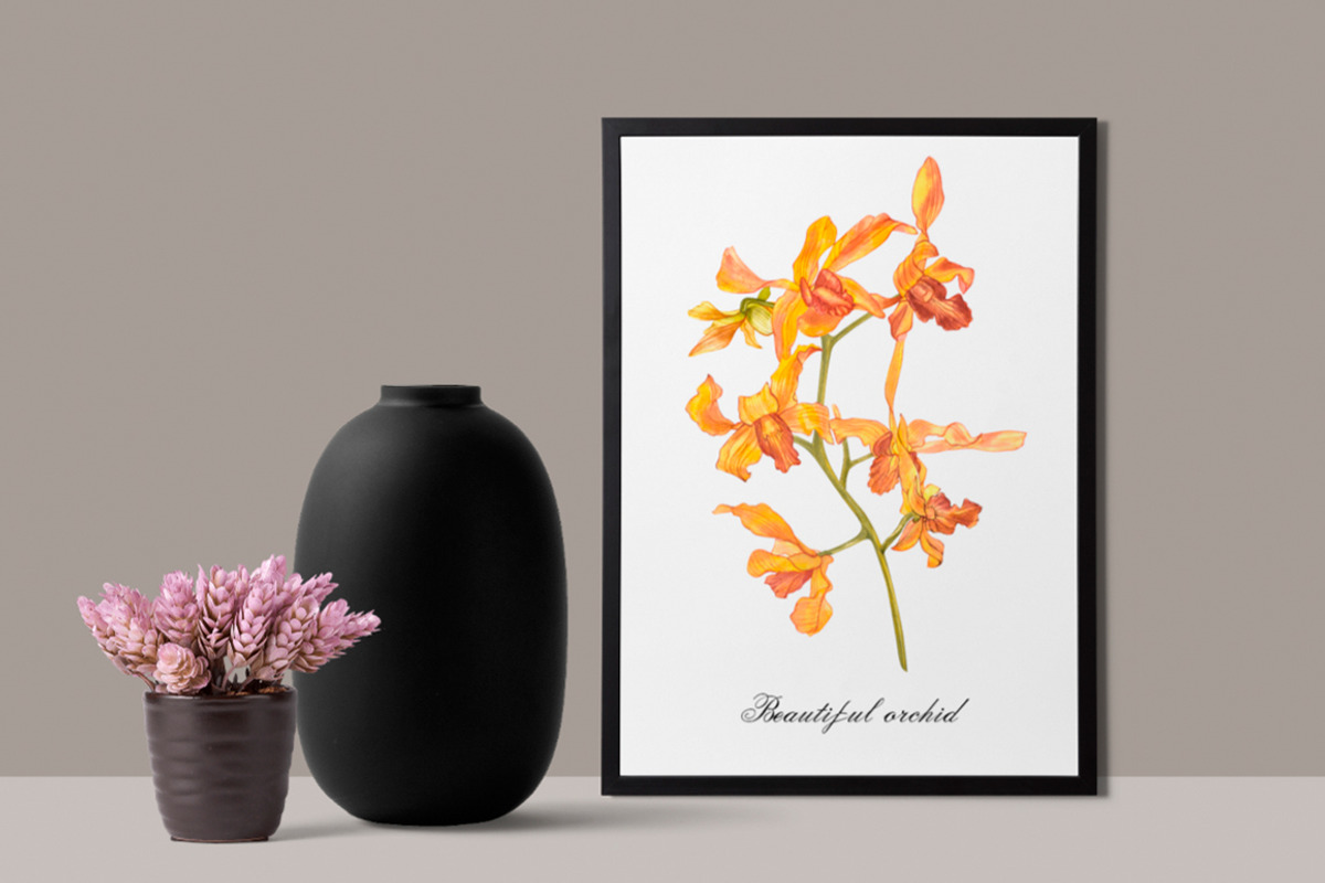 Orchids branch in botanical style, a Decorative Illustration by Ann Astro (Photo 7 of 15)
