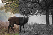 10 Black & White Landscape Drama, a Preset Add-On by Timeless Presets (Thumbnail 2 of 11)