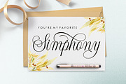 Shintosa Script, a Script Font by Picatype Studio (Thumbnail 8 of 8)