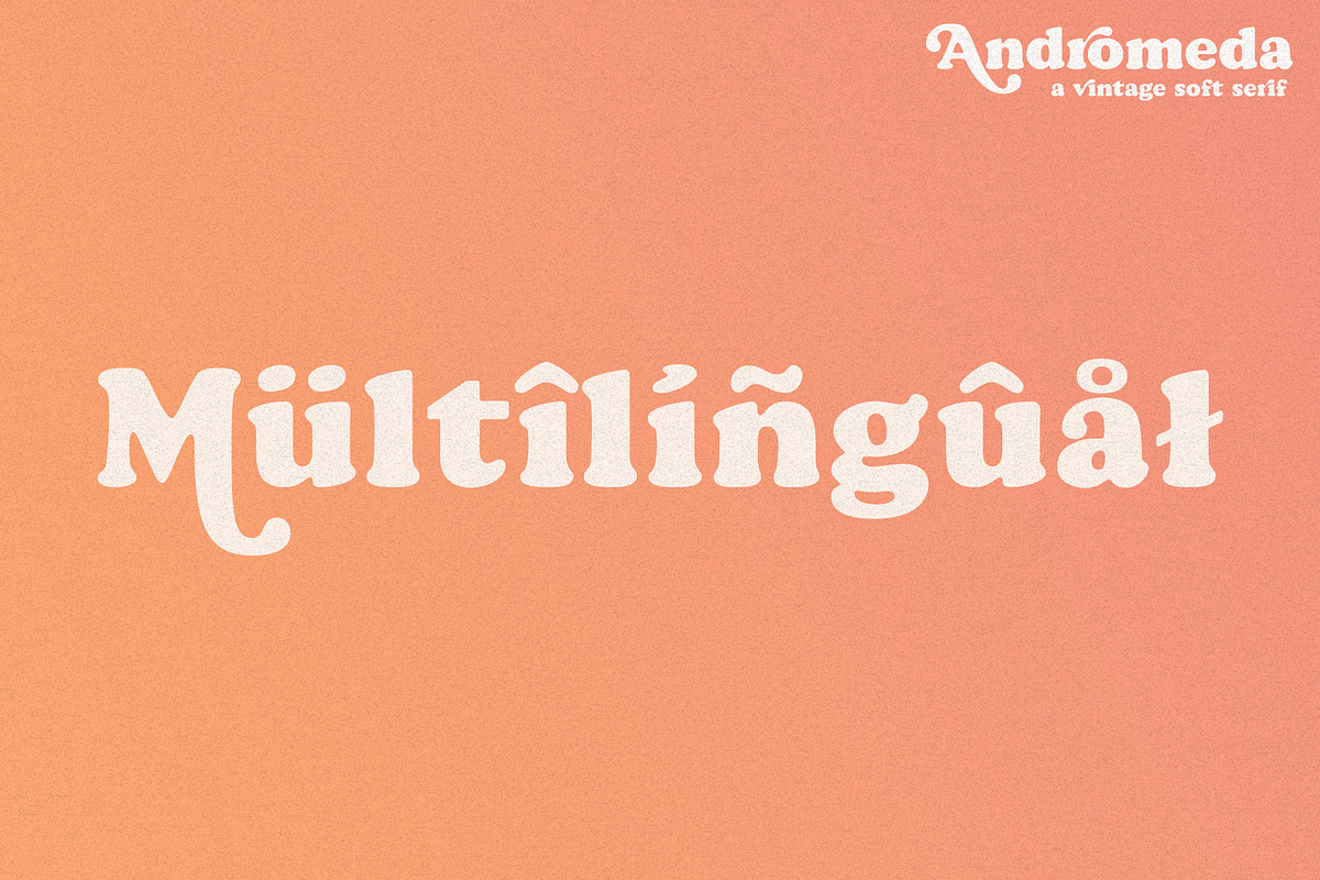 Andromeda // A Vintage Soft Serif, a Serif Font by Megs Lang (Photo 13 of 18)