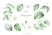 The Jasmine Garden. Watercolors, a Decorative Illustration by Liliia Polos Illustration (Thumbnail 9 of 10)