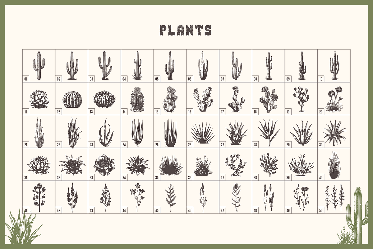 Wild, Wild West. 250 Illustrations, an Object Graphic by Cosmic Store (Photo 6 of 9)