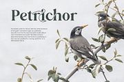 Bakilda Histori Serif Font, a Serif Font by Graphicxell (Thumbnail 6 of 18)