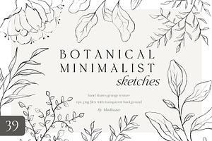 Minimalist floral botanical line art