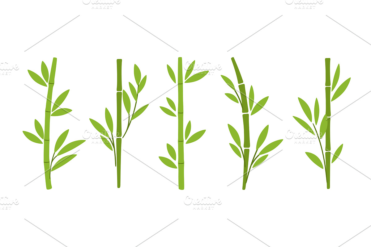 Green Bamboo branches on white, an Object Illustration by Stock-Smart-Start