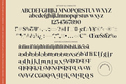 Qeftlight Elegant Contrast Serif, a Serif Font by timelesstype.co (Thumbnail 10 of 10)