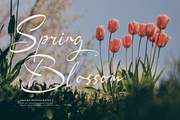 Chaerty Mellorind Handwritten Script, a Script Font by gracetype_studio (Thumbnail 4 of 12)