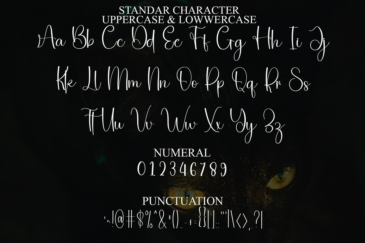 Adultish, a Handwritten Font by FreshTypeINK (Photo 5 of 8)