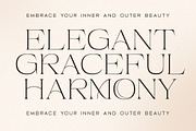 Beauty Entity - Stylish Serif, a Serif Font by Typeskets (Thumbnail 2 of 9)
