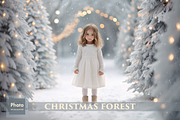 Christmas Forest backdrops, a Background Graphic by HappyNews (Thumbnail 1 of 12)