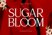 Eternal Bloom - Modern Serif Font, a Serif Font by Masyafi Studio (Thumbnail 7 of 9)