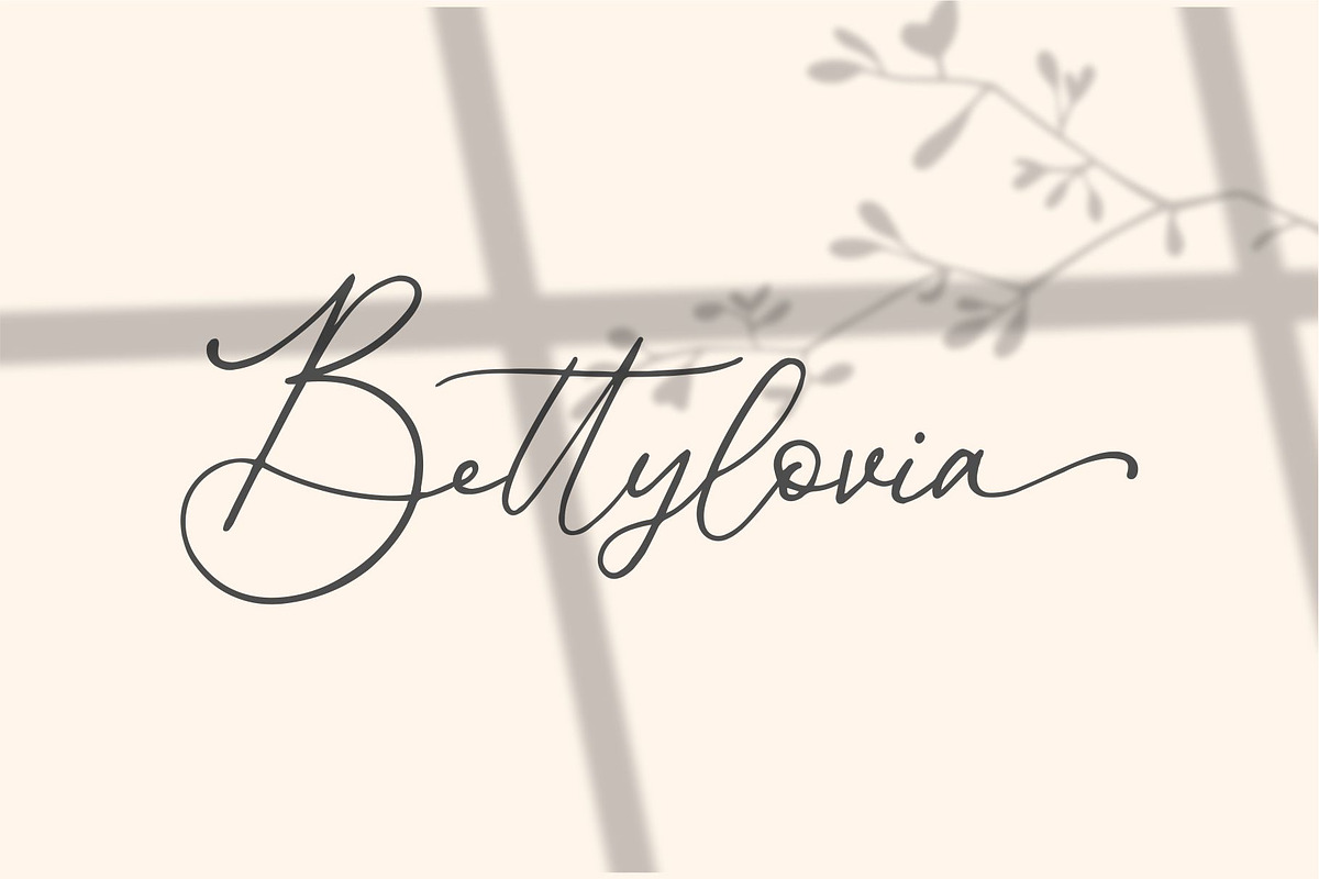 Donatellia Signature, a Script Font by Garisman Std (Photo 9 of 13)