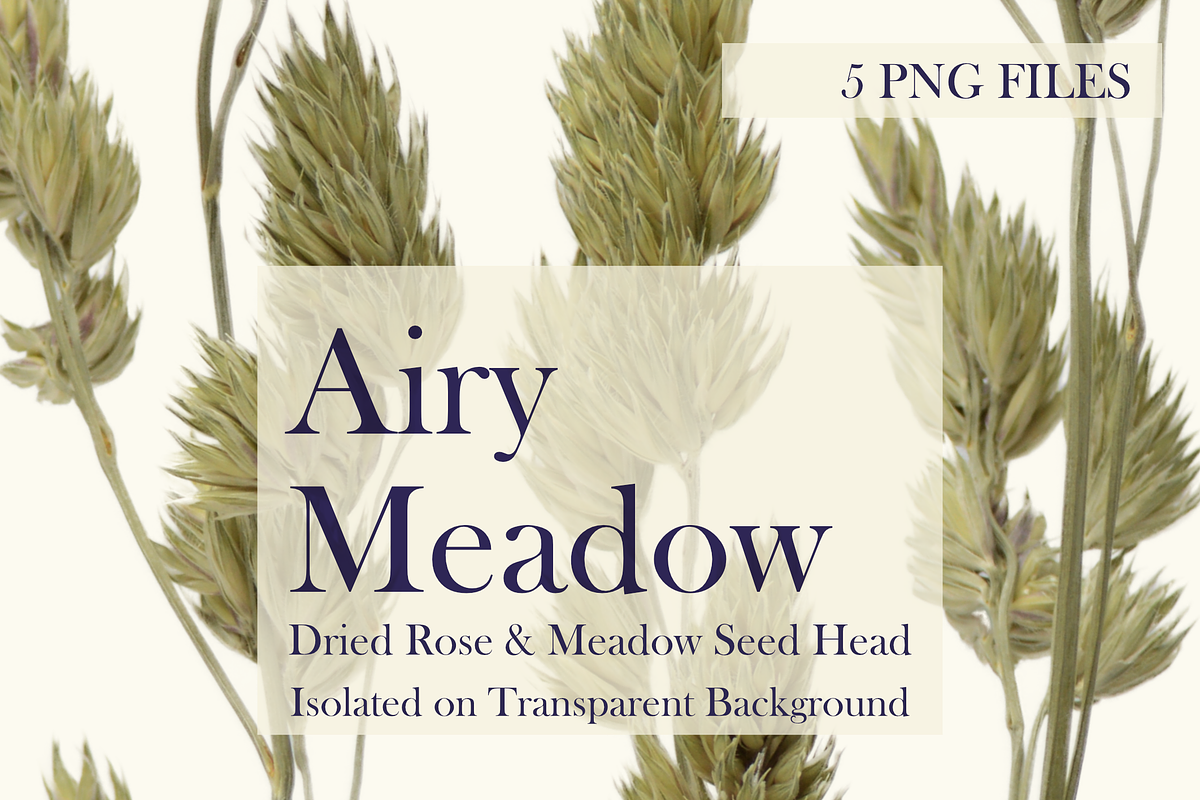 Airy Meadow – Dried Rose & Meadow Se, an Object Graphic by Aga Silva (Photo 5 of 7)