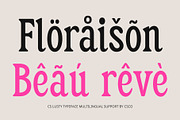 CS Lusty – Serif Font, a Serif Font by Craft Supply Co. (Thumbnail 3 of 8)