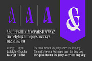 Avaleigh Fonts Family, a Serif Font by Asenbayu (Thumbnail 11 of 14)