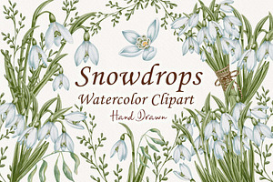 Snowdrops Hand Drawn Clipart