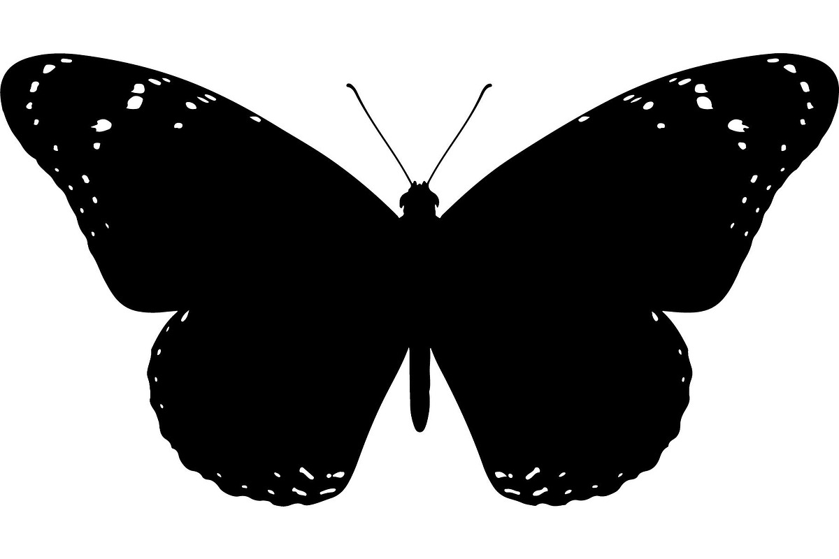 Butterfly Silhouette Bundle, an Object Graphic by Designer_Momina (Photo 8 of 20)