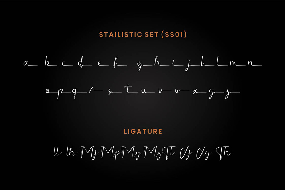 The Folk - Signature Font, a Script Font by Idea Studio (Photo 8 of 11)