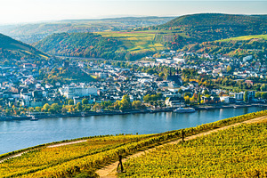 View of bingen am rhein from stock photo containing germany and landscape, a Nature Photo by Leonid Andronov