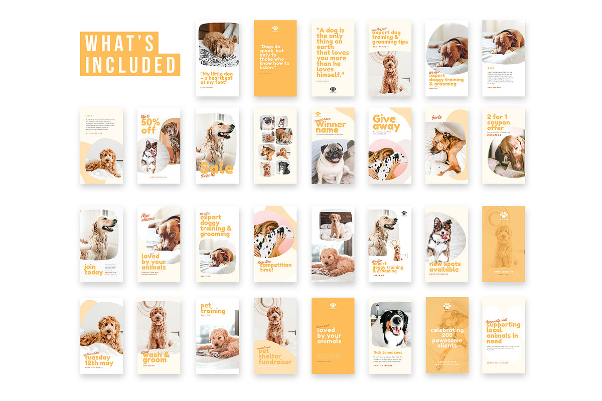 Pets Instagram Story Posts, a Social Media Template by Cultive Creative (Photo 4 of 10)