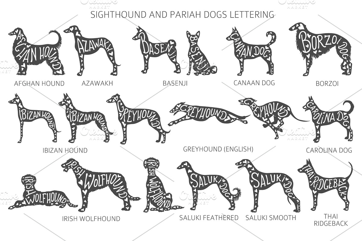 Sighthound and Pariah dog Silhouette, an Animal Illustration by pet design shop (Photo 6 of 9)