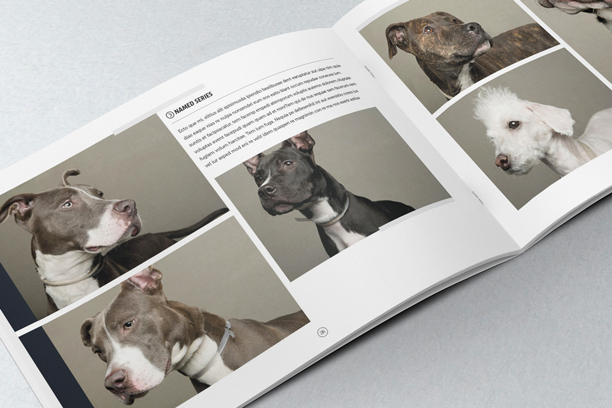 Elegant Photo Album A4 + Letter, a Brochure Template by Luuqas Design (Photo 3 of 7)