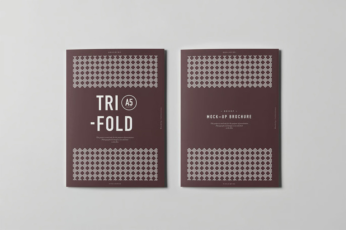 Tri-Fold A5 Brochure Mock-up, an Advertising Mockup by zippypixelstudio (Photo 9 of 9)