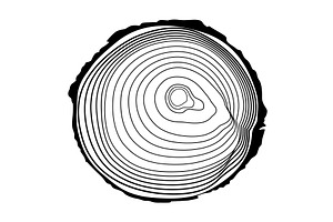 Wooden logs texture. Wood, an Object Illustration by Things for designers
