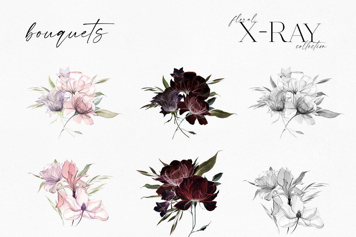 X-Ray Flowers Watercolor, an Object Illustration by Olga Koelsch (Photo 10 of 13)