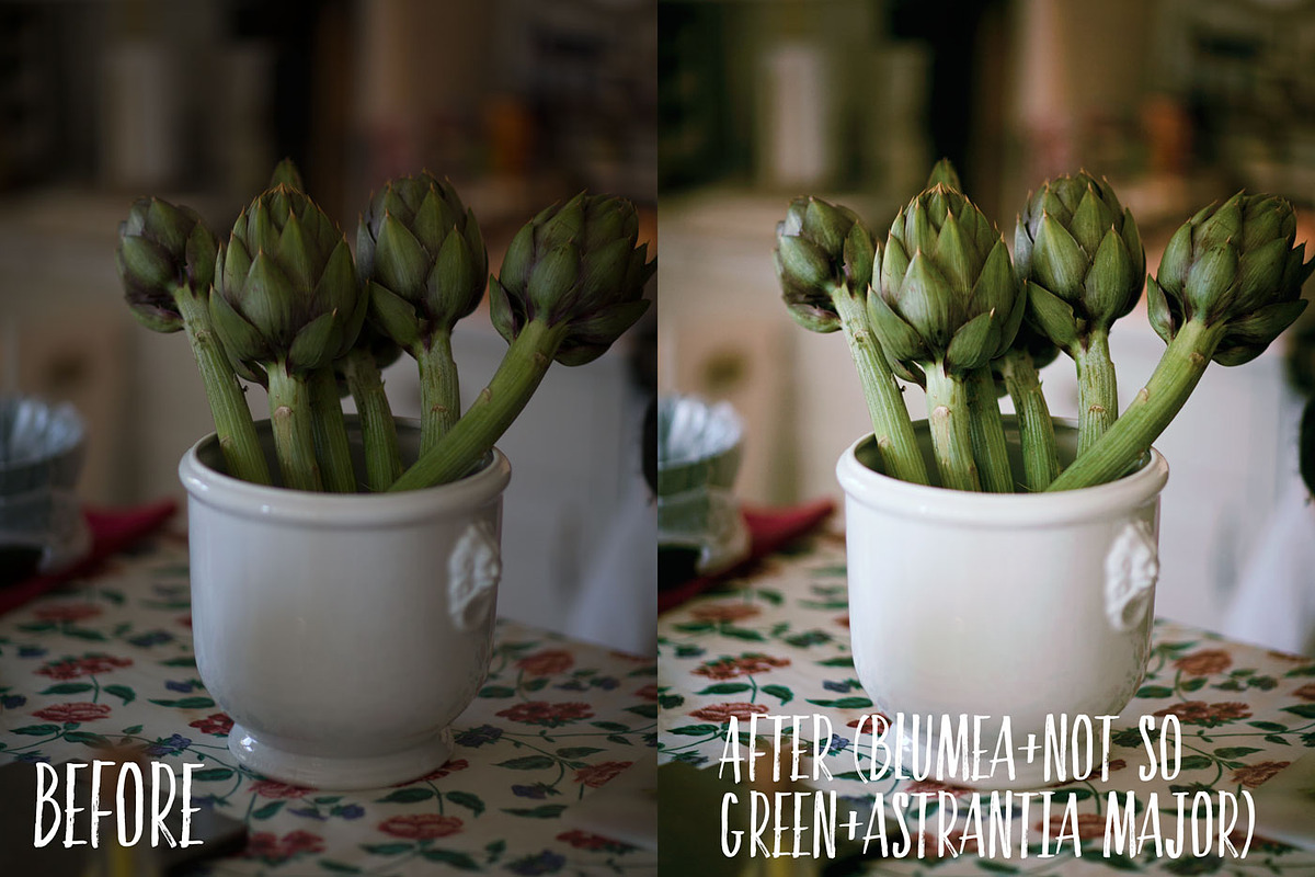 PHOTOSHOP actions set Greenhouse, an Action Add-On by Les Hirondelles Ph (Photo 8 of 10)