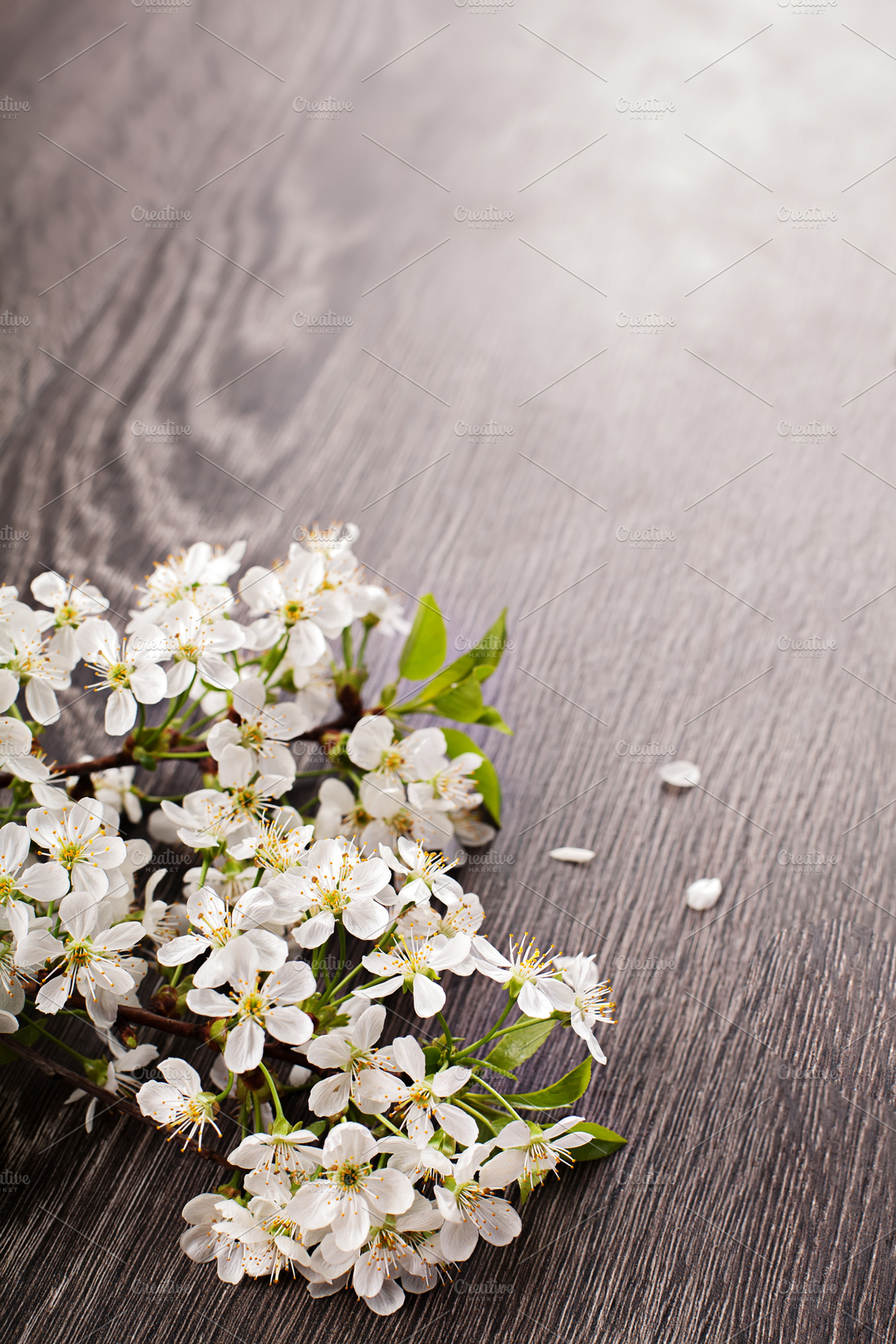 Spring Flowers On Dark Wooden Backgr