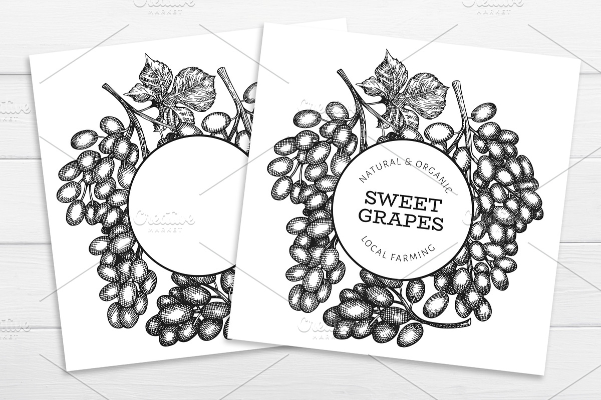 Grape Vector Collection, a Decorative Illustration by Lubov Illustrations Shop (Photo 3 of 5)