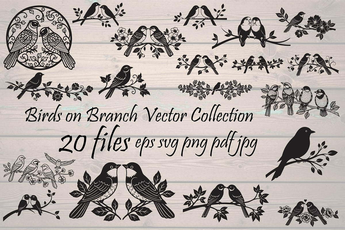 Birds on Branch Vector Collection, an Illustration by Designer_Momina (Photo 1 of 21)
